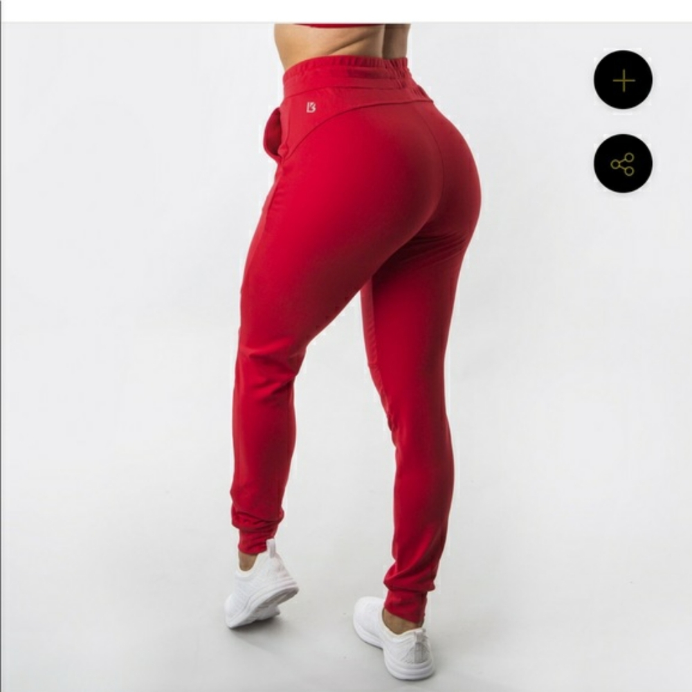 Buffbunny Joggers - image 1